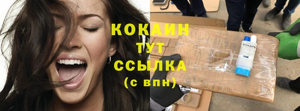 соль ск Абаза