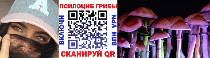 Псилоцибиновые грибы мицелий Донской